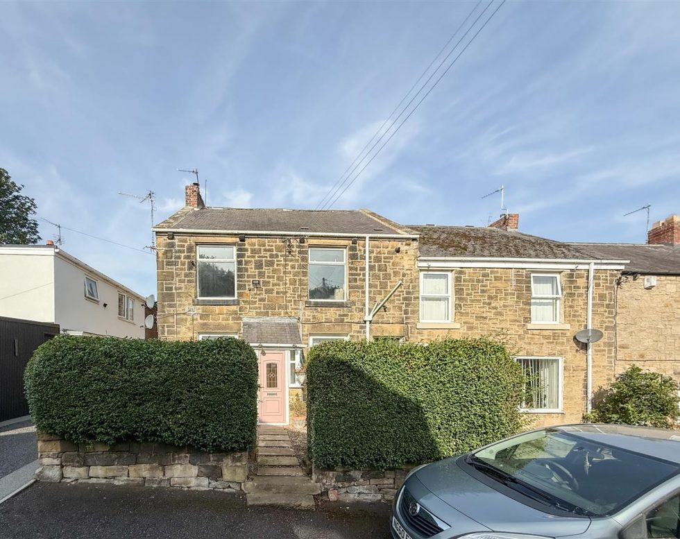 Victoria Terrace, Springwell Village