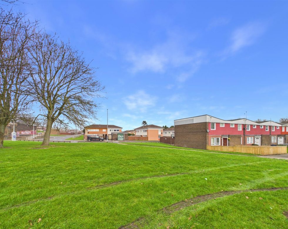 Larkspur, Beacon Lough, Gateshead