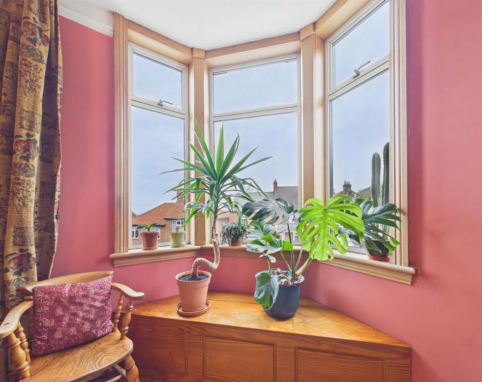 Primrose Hill, Low Fell