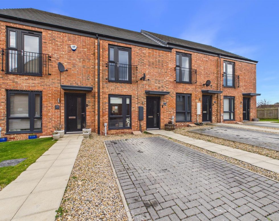 Whitehill Park, Windy Nook, Gateshead