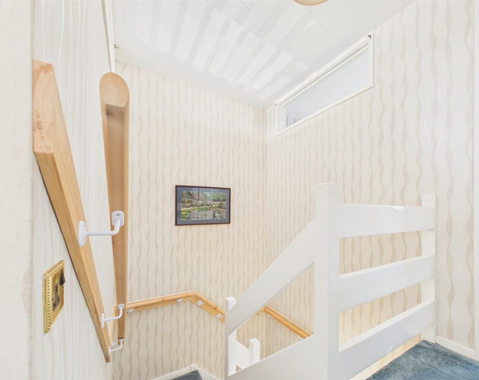 Larkspur, Beacon Lough, Gateshead