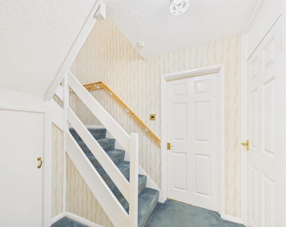 Larkspur, Beacon Lough, Gateshead