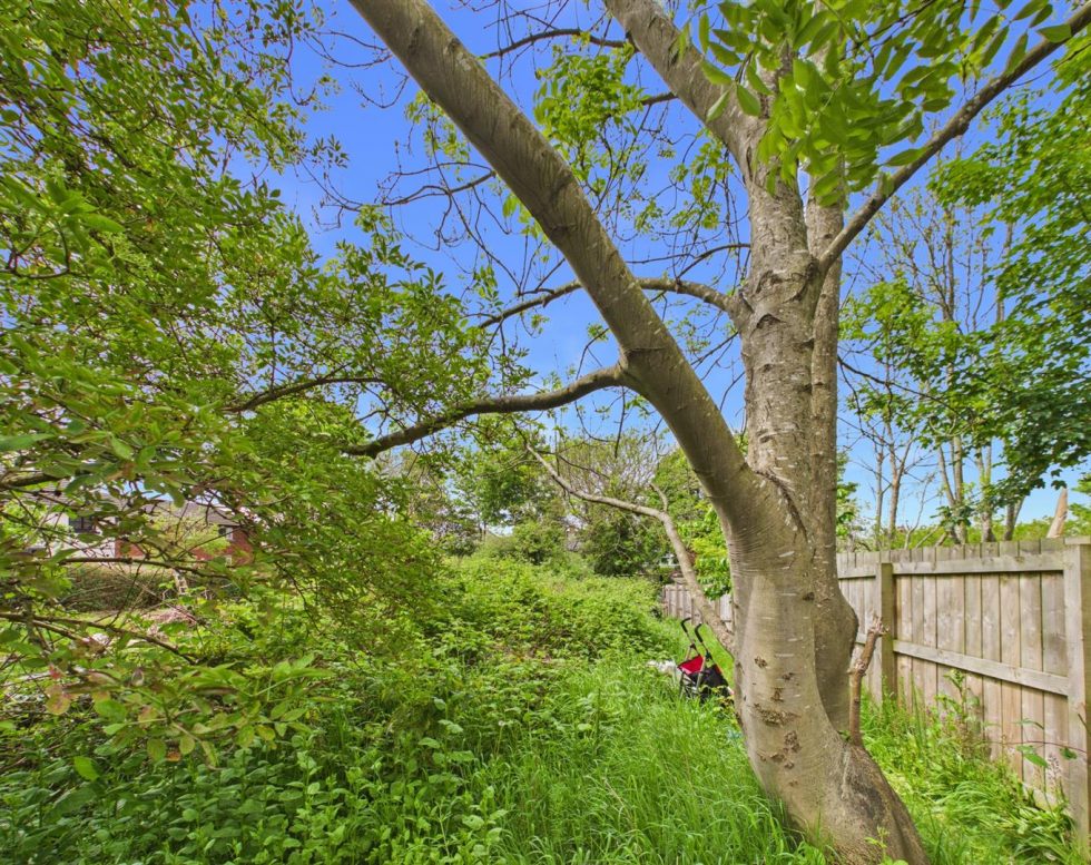 Worley Avenue, Low Fell, Gateshead