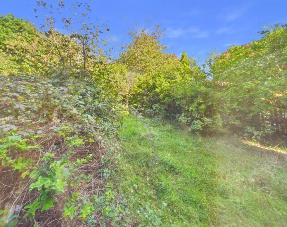 Aycliffe Crescent, Spring well