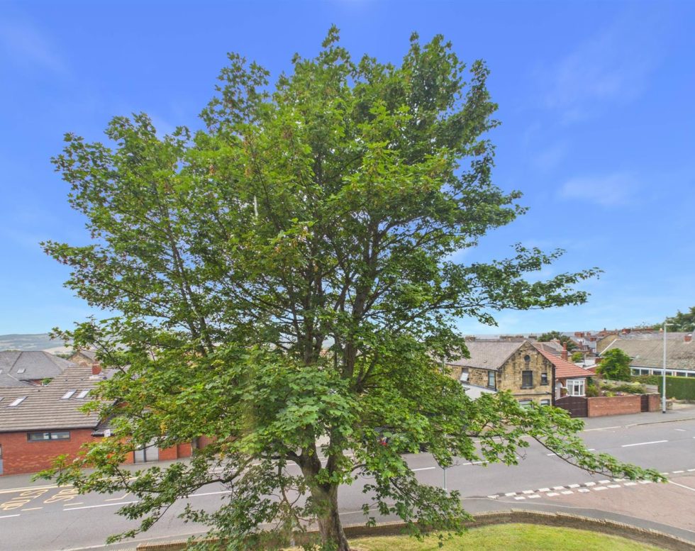 Pimlico Court, Low Fell, Gateshead